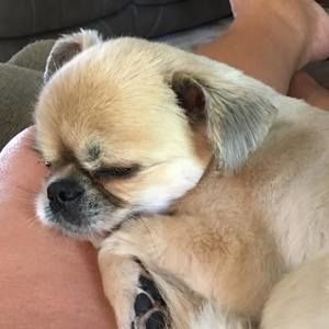 Meet your Posher, Nancy